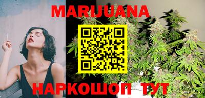сатива Балаково